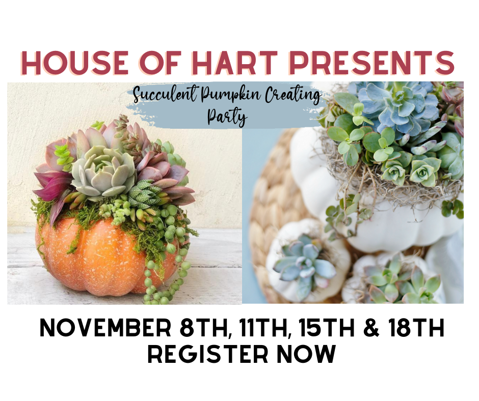 pumpkin succulent class near me Succulent Pumpkin Class 6pm-8:30pm – House of Hart Boutique