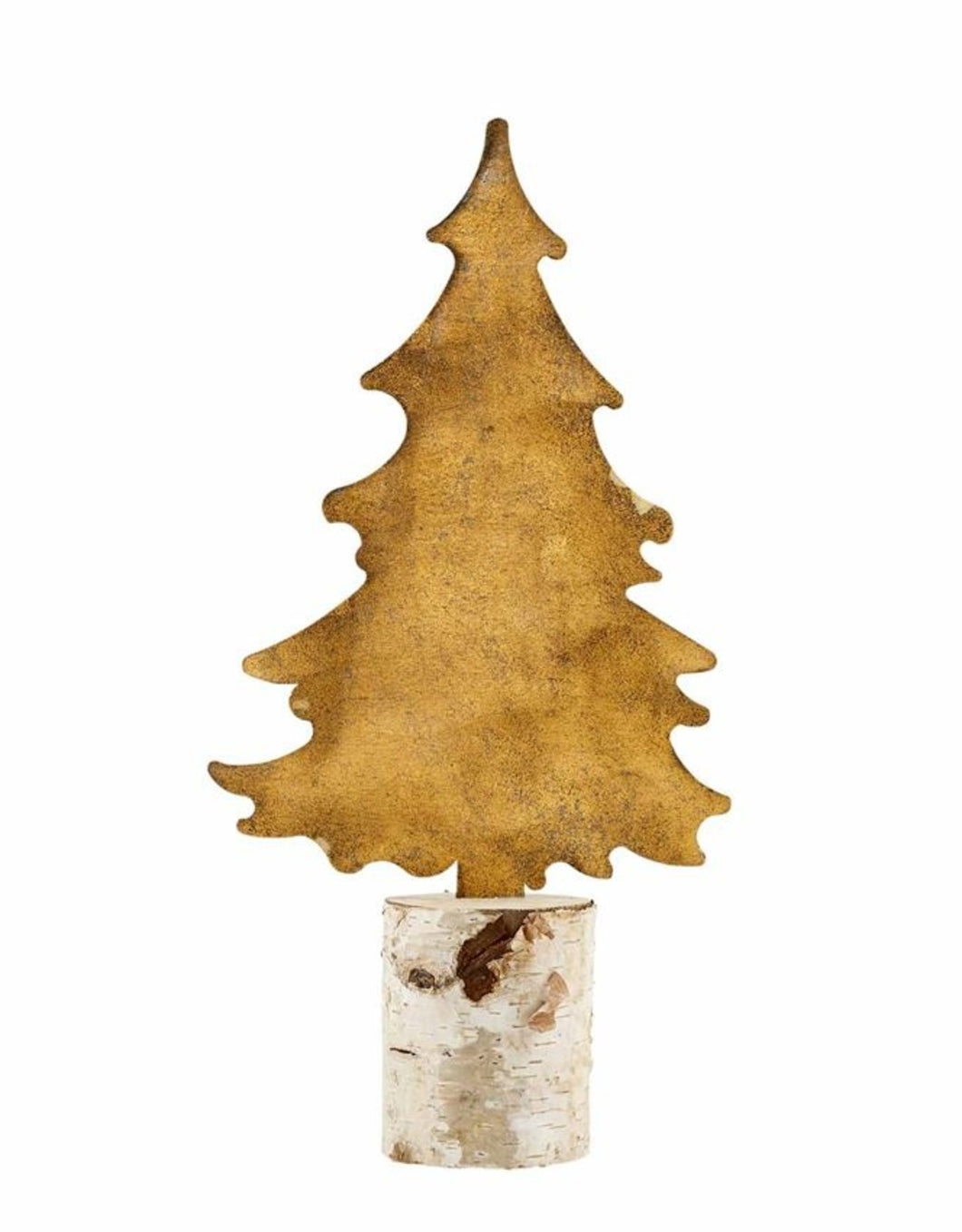 Small Birch Stem Tree